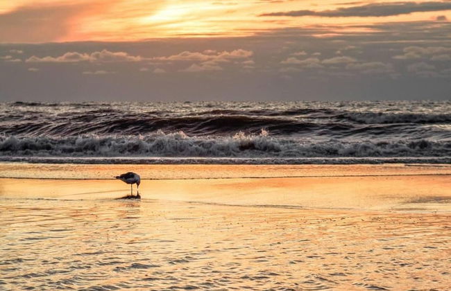 Apartment in Noordwijk Near Beach - Foto 23