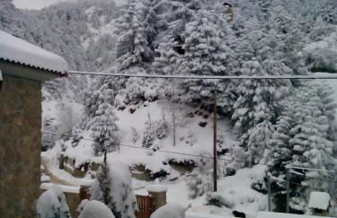 Elatos cozy Studio - Foto 19