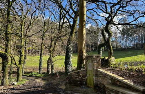 Casa Otilia - Rural - Camino de Santiago - Arzúa - Foto 61