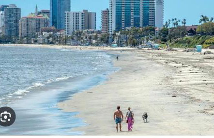 5 STAR BEAUTIFUL LONG BEACH HOuSE - Foto 30