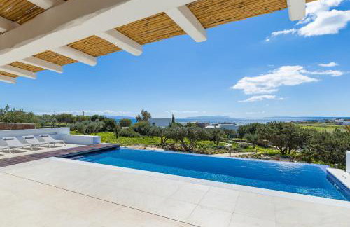 ELEONAS Paros estate - villas with partially private pools & professional tennis court - Foto 21