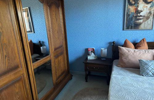Grand appartement au cœur de la région alsacienne - Foto 42