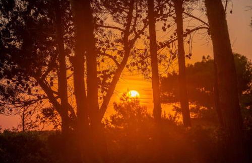 Seashell Luxury Residence - Foto 34