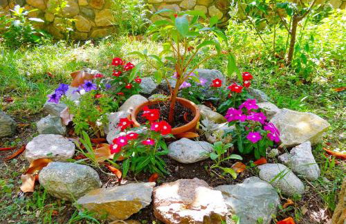 Kapougiati Studios - Foto 8