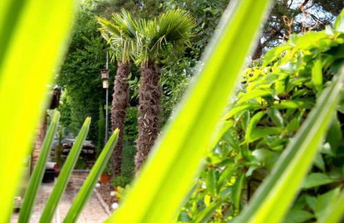 Ferienwohnung Am Palmengarten - Foto 26