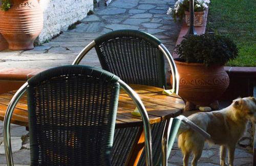 "The plane trees" - Foto 51