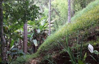 Tao da Serra - cabana em meio à natureza! - Foto 40