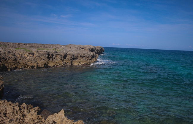 Cottage On The Ocean - Foto 24