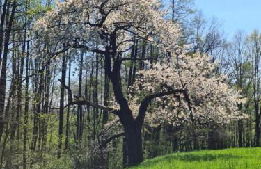 Gästehaus zum Rosengarten - Photo 40