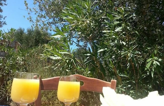 Tenuta de Marco - Foto 13