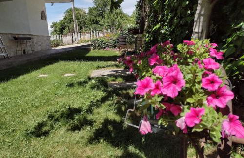 Il Canto degli Uccelli - Foto 26