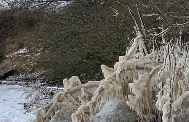 Northern Lights Modern Retreat - Photo 2