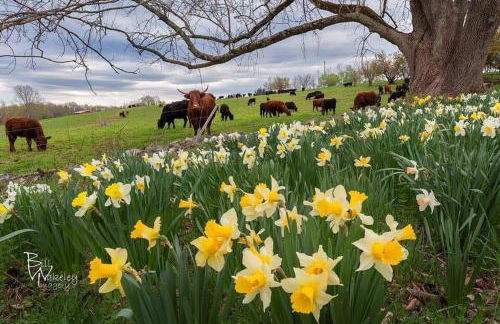 The Woodridge Retreat - Foto 53