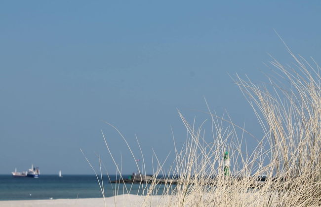 Escape Near Baltic Coast - Foto 28