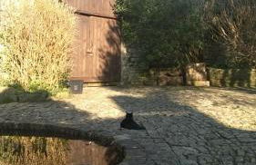 Longbridge Cottage - Photo 42