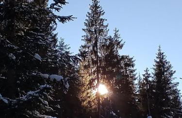 Appartamento Anna & Gino - Photo 21