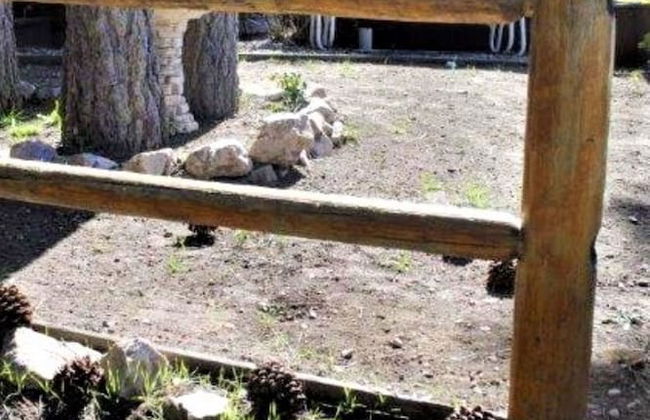 Snow Lake Lodge - Foto 52