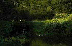 Lahnhaus Brühl/ Fende Haus - Foto 1