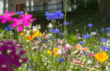 Ski Lodge Mins to White Face Mtn and Lake Placid - Foto 71