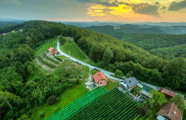 Vineyard cottage Matej - Foto 45