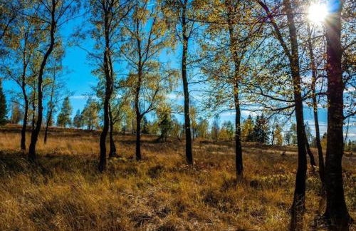 Hiking Roes Nature & Charm - Foto 35