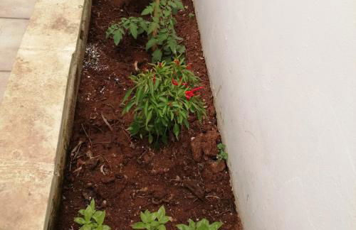 Casa vacanze SALENTO BELLA VISTA - Foto 56