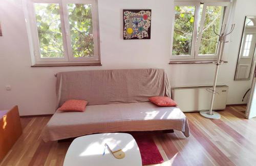 Green house - Foto 11