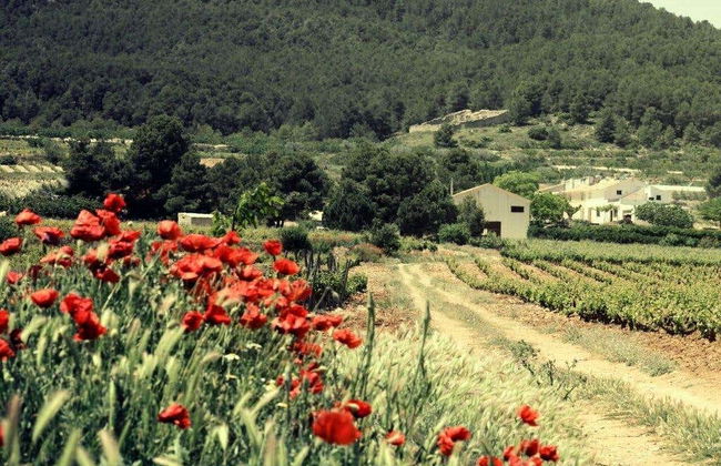 Visita a la bodega Balcona - Foto 4