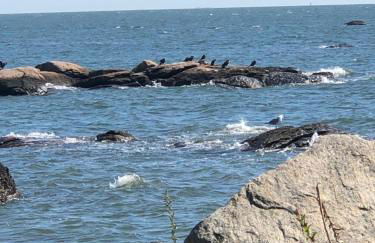 Cozy Garden Apartment Along the Shoreline - Foto 10