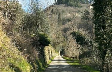 La sosta al lago - Foto 10