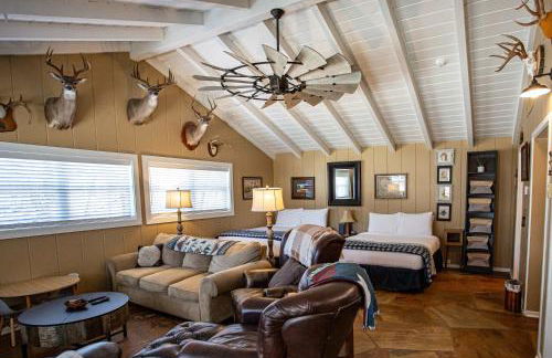 Hill Country Retreat - 1BR Cabin w Nature Views - Photo 3