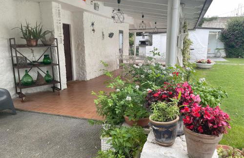 Villa Avvocato Catapano - Photo 33