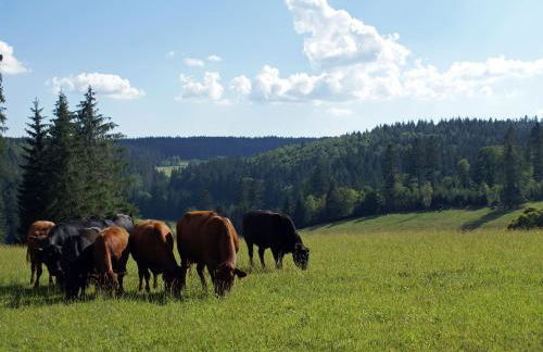 Lippenhof - Unter der Linde - Foto 29