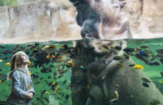 Riverwalk Gem-Stylish Downtown Escape with Views - Foto 30