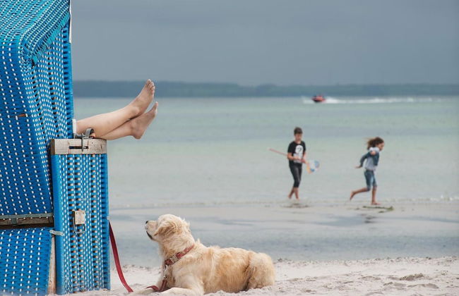 Terraced House in Damp Near Baltic Sea Beach - Foto 37
