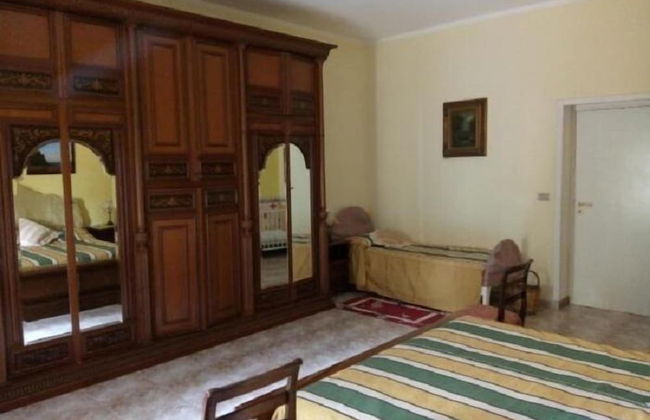 Gecko's House - Foto 8