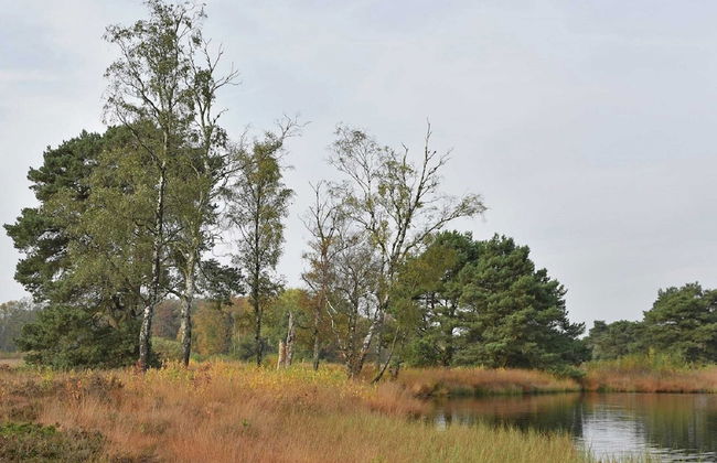 Holiday Home in Geesteren With Roof Terrace,garden Furniture - Photo 55
