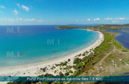 Il Fenicottero - Foto 14