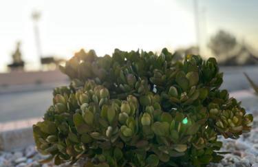 VillaCasaEmilyo - Foto 25