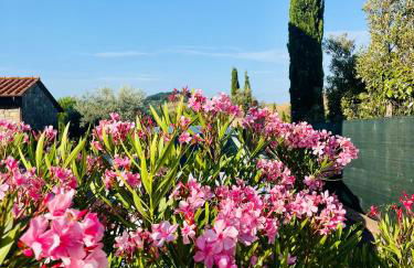 Casa Leoni Chianni - tuscan luxurious Villa - Foto 32