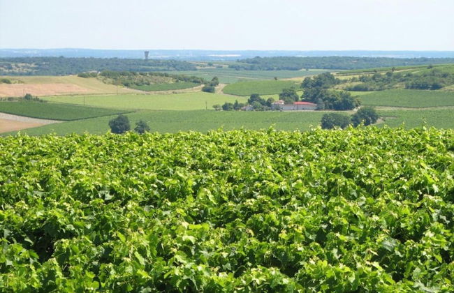 Luxury Apartment With Terrace, Sauna, Tennis, Pool - Foto 57