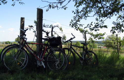 Ferienwohnungen Eichenhof - Photo 68