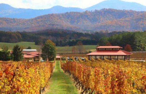 Time to Wine Down - Family Home - Foto 22