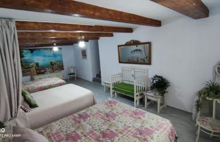 Cueva de la abuela - Foto 15