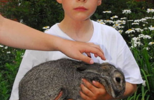 Siems Modern Retreat - Foto 18