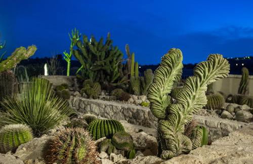 Garden Cactus - Foto 50