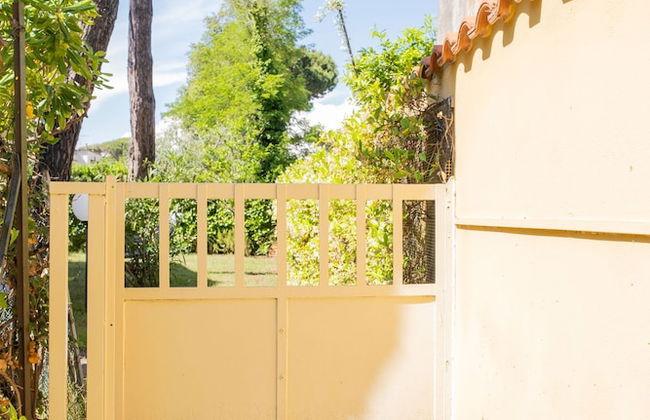 Tirrenia Fronte Mare - Foto 31