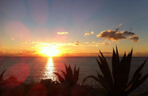 Apartments Vucica, Sevid - Foto 61