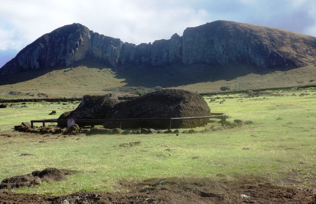 Cabañas Te Maori - Foto 33