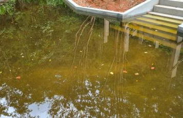 Sítio com Casa de Madeira com 2 quartos 100m2 px Centro de Salesópolis - Foto 29